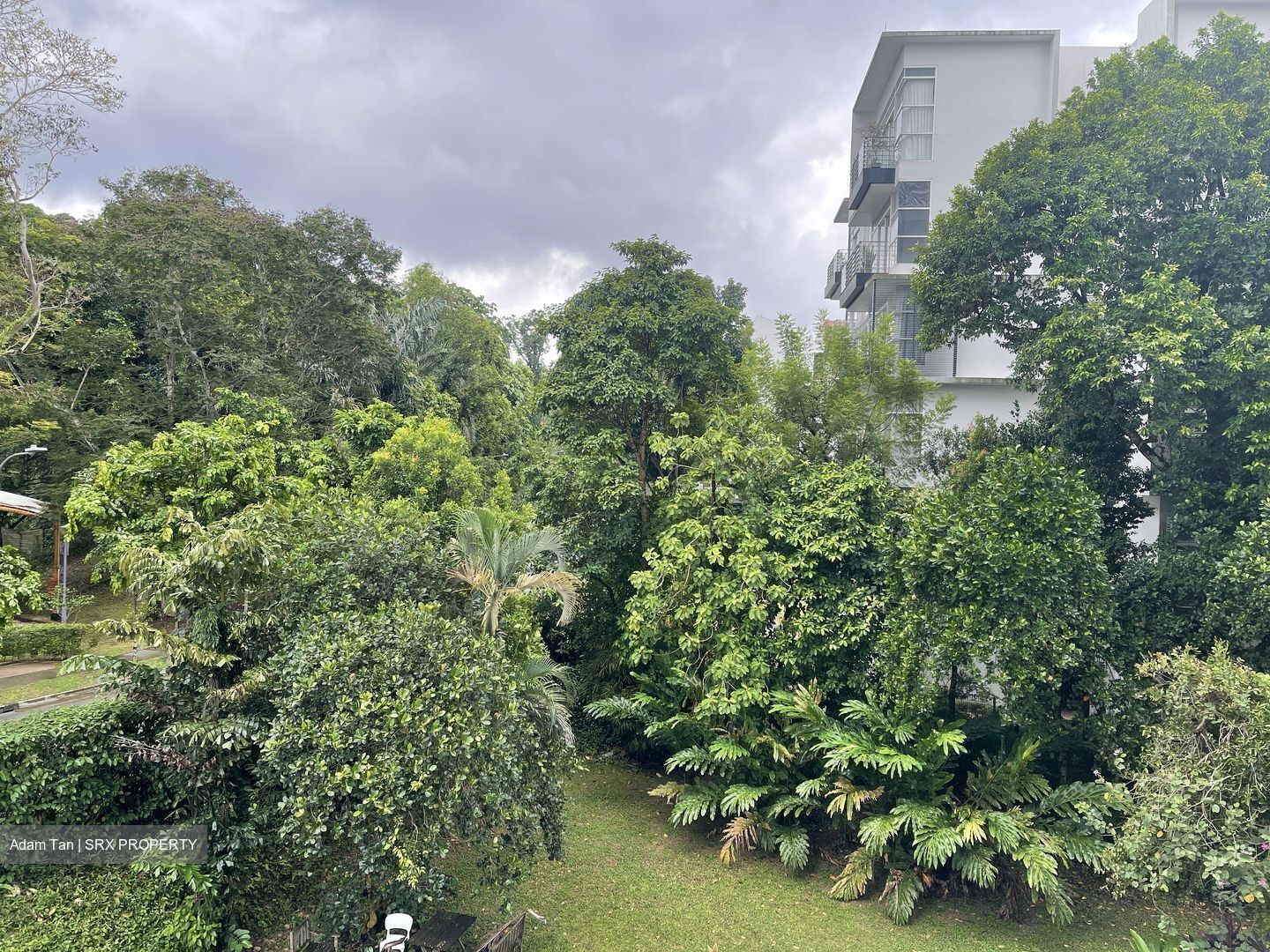 Goldhill Towers (D11), Apartment #591906551